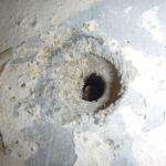 Asbestos sprated insulation debris